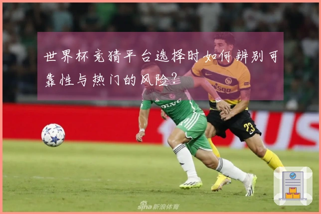 世界杯竞猜平台选择时如何辨别可靠性与热门的风险？