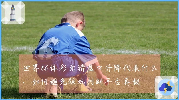 世界杯体彩竞猜盘口升降代表什么，如何避免踩坑判断平台真假