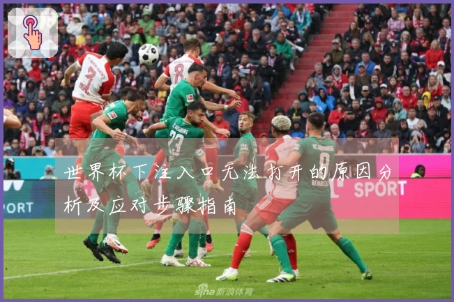 世界杯下注入口无法打开的原因分析及应对步骤指南