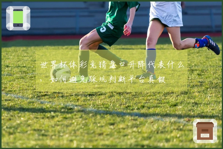 世界杯体彩竞猜盘口升降代表什么，如何避免踩坑判断平台真假