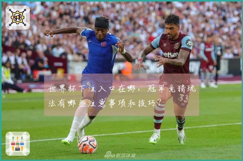 世界杯下注入口在哪，冠军竞猜玩法有哪些注意事项和技巧？